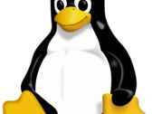 Grâce à Steam, Proton GE et Valve, jouer sur Linux est bien plus facile que vous ne le pensez. (Source : Wikipedia)