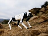 Le dernier chien robot de Dobot devrait coûter un peu plus de 1 000 dollars. (Source de l'image : Dobot)