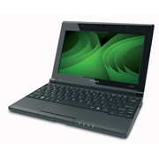 Toshiba Mini NB505-N508GN