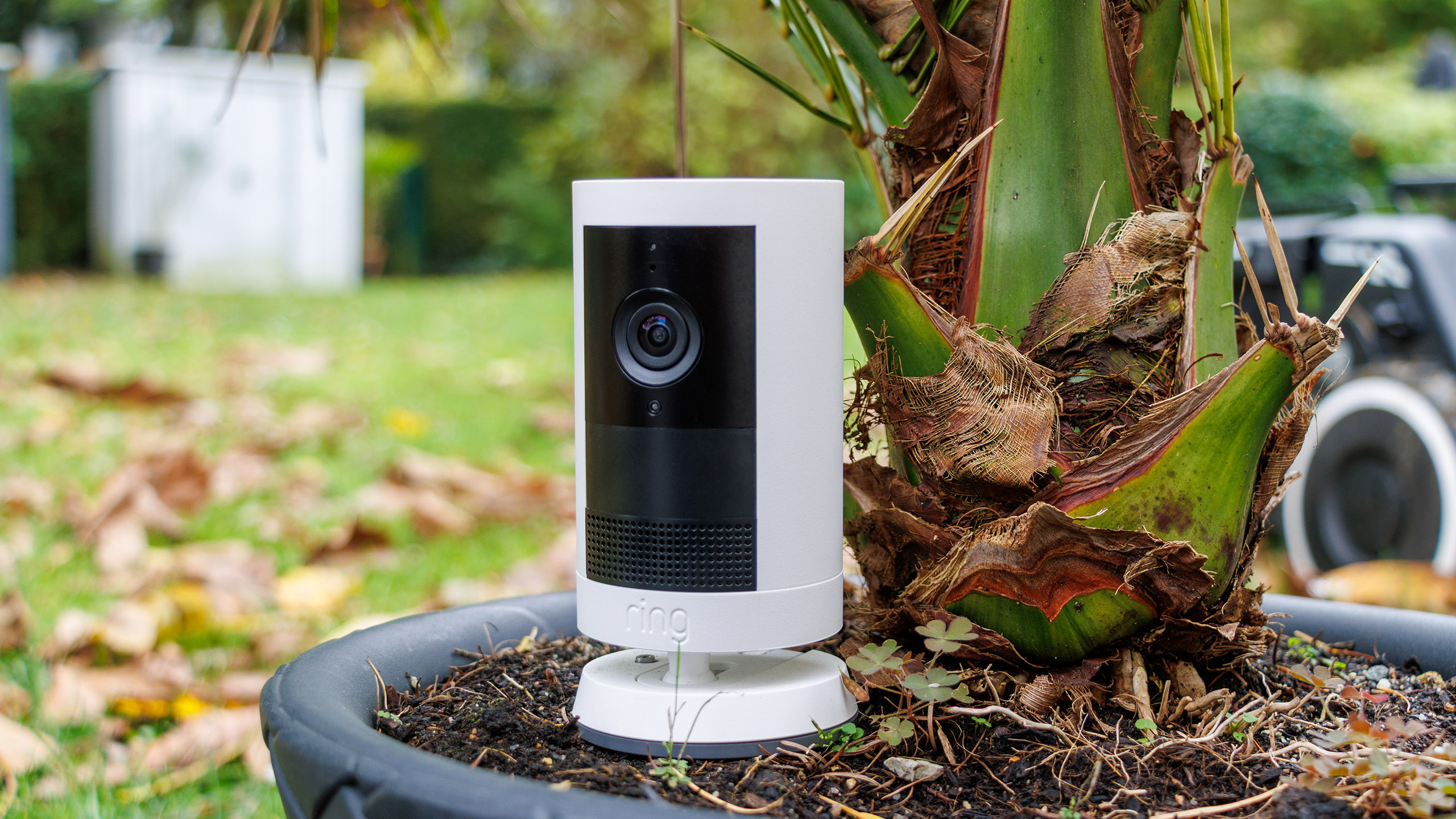 (Source de l'image : Daniel Schmidt)