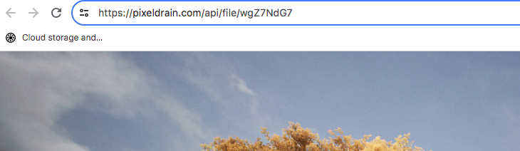 La façon la plus simple de commencer à utiliser PixelDrain est de télécharger des fichiers dans Mes fichiers. Vous obtiendrez un lien comme celui illustré ci-dessus. Bien qu'il ne s'agisse pas d'un véritable hotlinking, c'est toujours mieux que ce qu'offrent la plupart des plateformes concurrentes (Source de l'image : Notebookcheck)