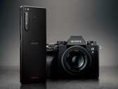 Sony a commencé à émettre Android 12 pour les Xperia 1 II et Xperia Pro aux Etats-Unis. (Image source : Sony)