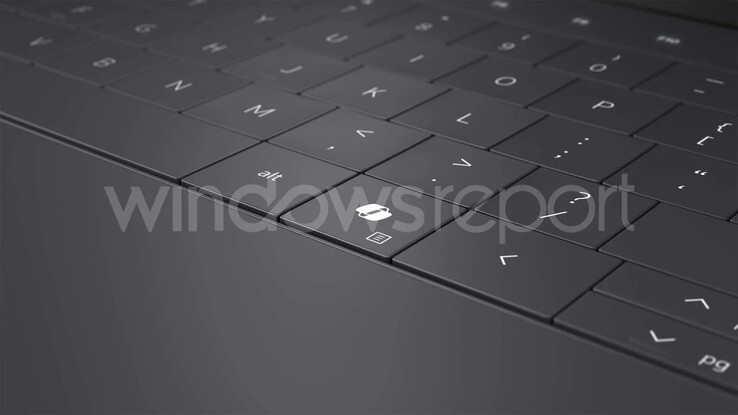 (Source : Windows Report)