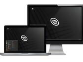 Linux Mint est un excellent moyen de débuter dans le monde Linux. (Source de l'image : Linux Mint)