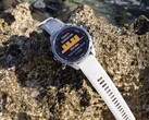 Le logiciel 22.07 est disponible pour les ordinateurs de plongée Descent Mk3 et Mk3i (photo). (Source de l'image : Garmin)