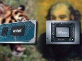 Le Tiger Lake Intel Core i5-11400H doit affronter le processeur Cezanne Zen 3 AMD Ryzen 5 5600H. (Image source : Intel/AMD/Pinterest/Wikimedia - édité)