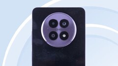 Un potentiel cliché du Realme 13. (Source de l'image : TENAA)