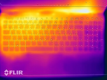 Image thermique de la face supérieure lors du test de stress