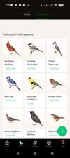 Répartition des visites d’oiseaux