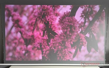 À la lumière du jour (fenêtre à droite ; l'appareil photo ne peut restituer la qualité de l'image que dans une mesure limitée)