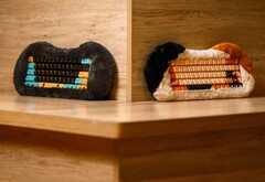 Le Petbrick 65 est disponible en deux variantes sur le thème du chat. (Source de l&#039;image : Dry Studio)