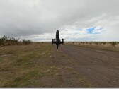 Le Black Bird de cinquième génération