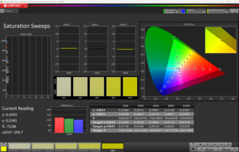 CalMAN Saturation calibrée