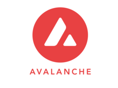 Le jeton de crypto-monnaie Avalanache présente un avantage technique distinct par rapport à l'Ethereum (Image : Avalanche)