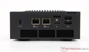 Peladn HO5 - Connexions sur le panneau arrière