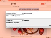 La traduction privée dans le navigateur Vivaldi 4.2 en action (Source : Vivaldi Browser)