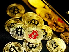 La majorité des millionnaires américains est investie dans les crypto-monnaies, notamment le Bitcoin, l&#039;Ethereum et les monnaies mèmes comme le Shiba Inu et le Dogecoin (Image : Executium)