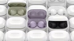 Le Galaxy Buds 2 sera disponible en quatre couleurs. (Image source : WalkingCat)