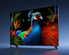 La gamme de téléviseurs « non-Supreme TV S Pro 2027 RGB Mini LED » proposera des modèles allant jusqu’à 98 pouces. Sur la photo : une image promotionnelle présentant un téléviseur de cette gamme.