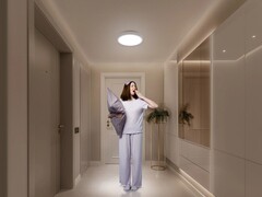 Le plafonnier intelligent D20 de Xiaomi. (Source de l'image : Xiaomi)