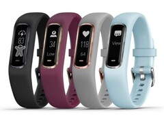 Le Vivosmart 4. (Source de l&#039;image : Garmin)