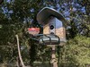 Prêt pour les oiseaux