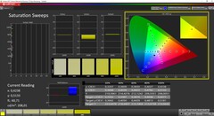 CalMAN Saturation calibrée (espace couleur cible AdobeRGB)