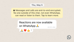 Les réactions arrivent sur WhatsApp. (Source : WhatsApp)