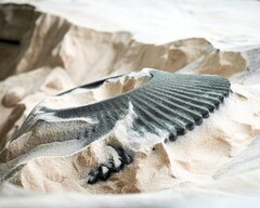 Une pièce automobile imprimée à partir de sable à l&#039;aide de la technique du binder jetting (Source d&#039;image : ExOne)