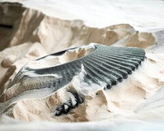 Une pièce automobile imprimée à partir de sable à l&#039;aide de la technique du binder jetting (Source d&#039;image : ExOne)