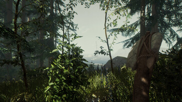 Une image représentant un paysage et un bateau dans « The Forest ».