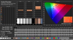 CalMAN : ColorChecker (calibré)