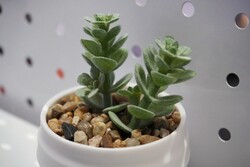 Cette impression est convaincante !