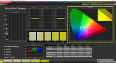 Saturation CalMAN (espace couleur de référence P3, source : Asus Zenbook S 13)