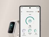 Les utilisateurs de Fitbit ont signalé plusieurs problèmes avec le nouveau score de préparation. (Source de l'image : Fitbit)