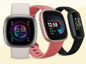 Google a commencé à rationaliser l'application Fitbit en vue d'y ajouter ultérieurement d'autres fonctionnalités. (Source de l'image : Fitbit)
