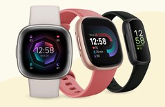 Google a commencé à rationaliser l'application Fitbit en vue d'y ajouter ultérieurement d'autres fonctionnalités. (Source de l'image : Fitbit)
