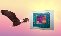 AMD Bald Eagle Point, s'il n'est pas abandonné, pourrait sortir l'année prochaine. (Source de l'image : AMD, FlashBuddy, édité)
