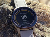 Garmin continue de développer des versions 26.xx pour la série Fenix 6 et ses homologues. (Source de l'image : Garmin)