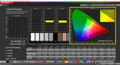 CalMAN ColorChecker calibré