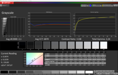 CalMAN Niveaux de gris