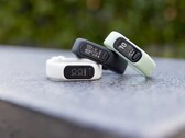 Garmin a publié une nouvelle mise à jour du firmware pour le Vivosmart 5. (Source de l'image : Garmin)