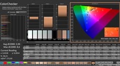 CalMAN : ColorChecker (DCI-P3)