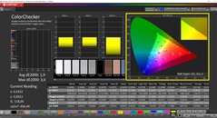 CalMAN ColorChecker (profil : sRGB, espace couleur cible : sRGB)