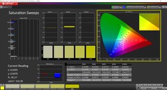 CalMAN niveaux de gris calibrés