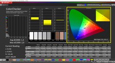CalMAN ColorChecker (profil : sRGB, espace couleur cible : sRGB)
