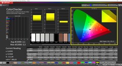 CalMAN ColorChecker (Profil : Natif, Espace couleur cible : P3)