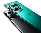 OnePlus commercialise l'Ace 2 Pro en deux couleurs. (Source de l'image : OnePlus)