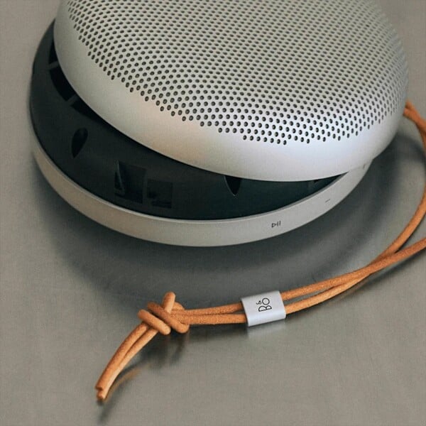 Le Beosound A1 3rd Gen de Bang & Olufsen est doté d'une batterie remplaçable (non utilisable). (Source de l'image : Bang & Olufsen)