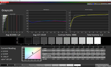Échelles de gris (True Tone : off, espace couleur cible : sRGB)
